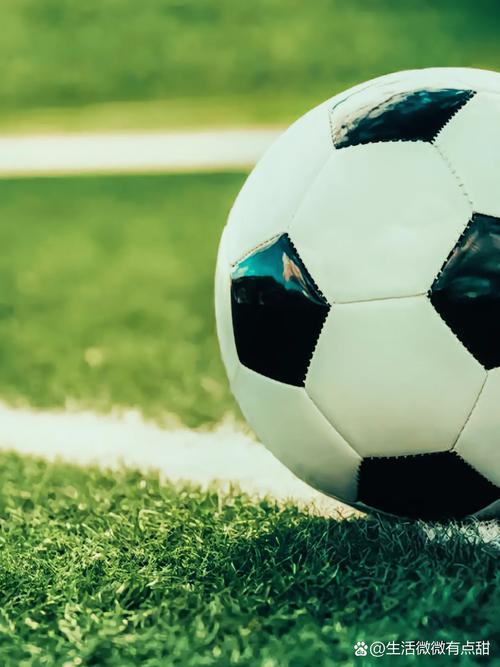 足球即时比分捷报免费下载